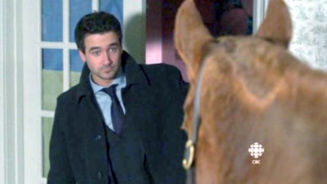 A Horse Divided