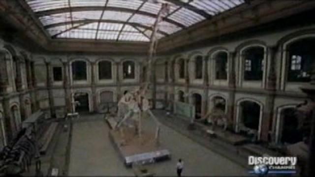 Dino-Revolution in Afrika