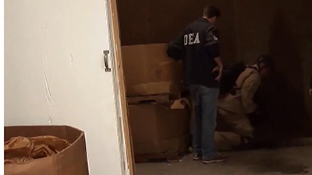 Million Dollar Drug Busts