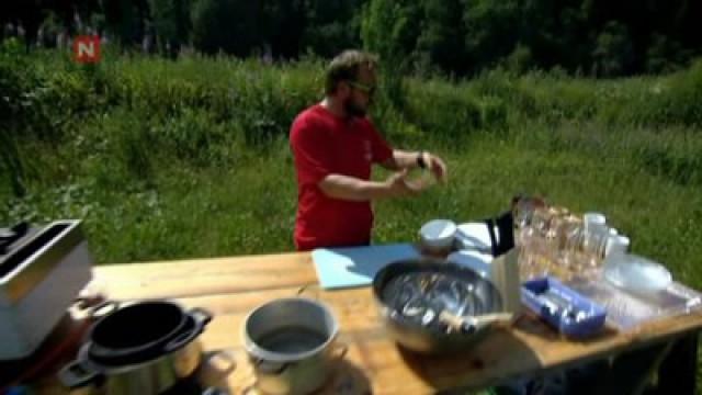 Mikkel Gaup