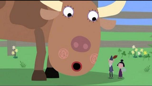Cows