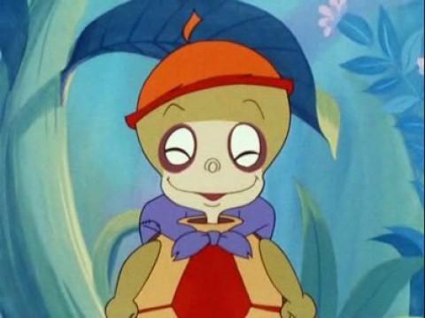 La petite tortue