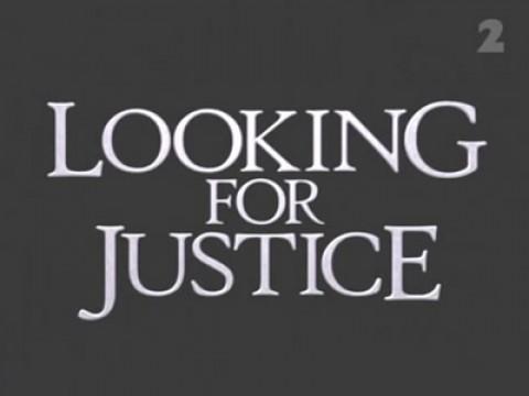 Looking For Justice - Lesley Calvert
