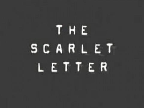 The Scarlet Letter - Elizabeth Barnard