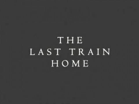 The Last Train Home - Sarah MacDiarmid