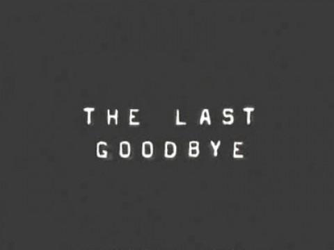 The Last Goodbye