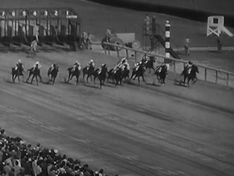 Odds Against The Jockey