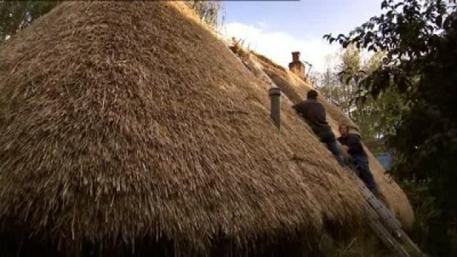 Thatching