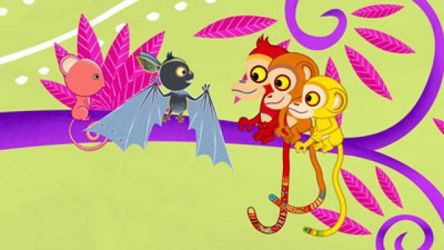 Why Bat Hangs Upside Down