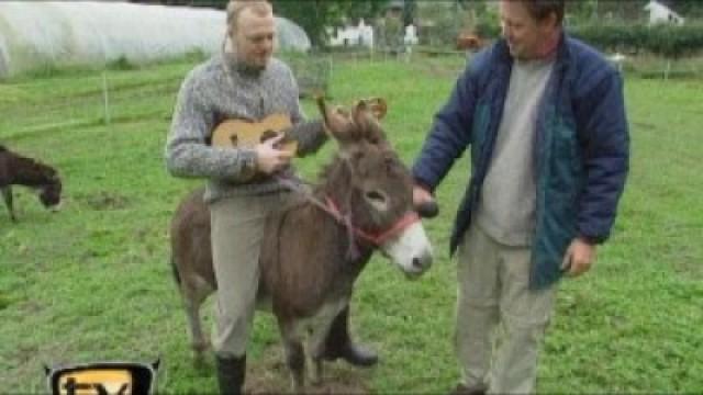 TV Total Sendung vom 24.09.2001