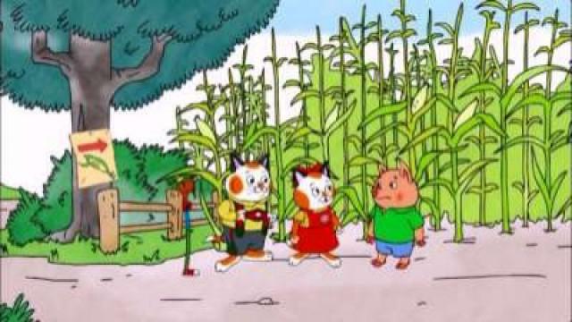 Cornfield Confusion
