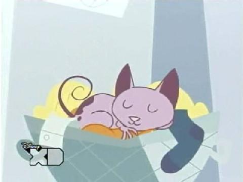 Katnapped!