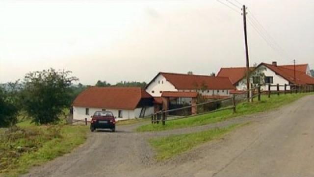 Čistka