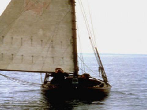 Folge 5