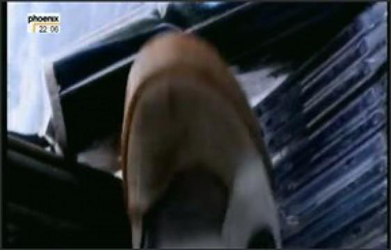 Die Todeswelle - Tsunami 2004