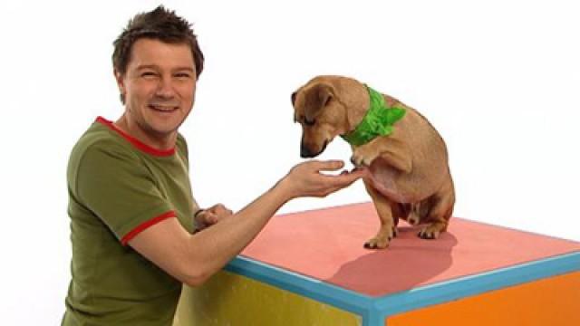 Hund (#2)
