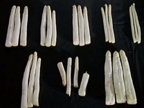 Das Geheimnis des Spargels