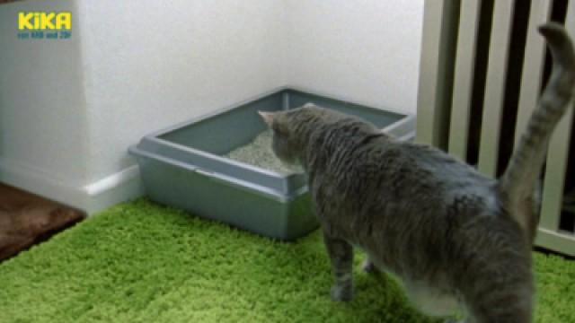 Katzenstreu | Ölmühle