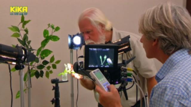 Geheimnis der falschen Glocke || Marienkäfer im Filmstudio