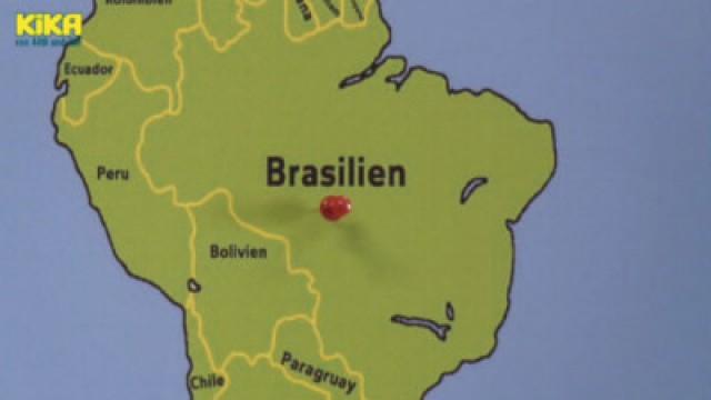 Brasilien-Maus