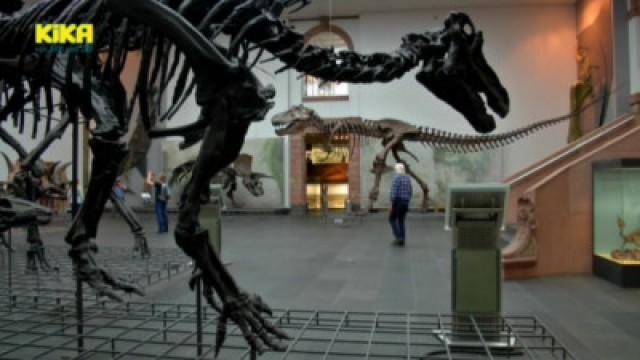 Erdbeeren | Dino-Sammlung | Fernseher