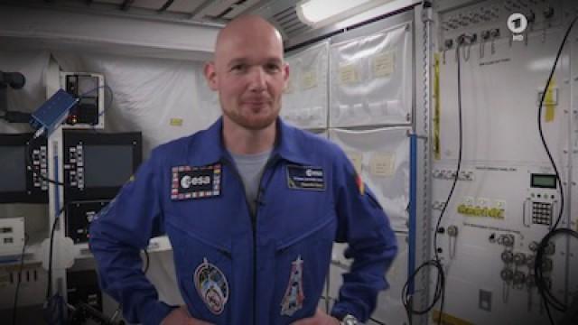 Maus-Experiment auf der ISS | Wie hoch ist der Baum?