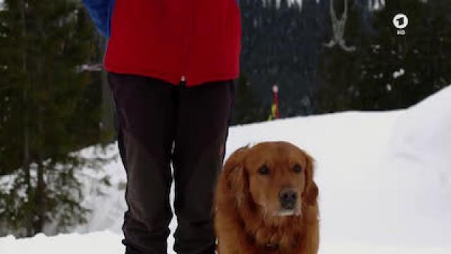 Chillis Freundin beim Wintertraining