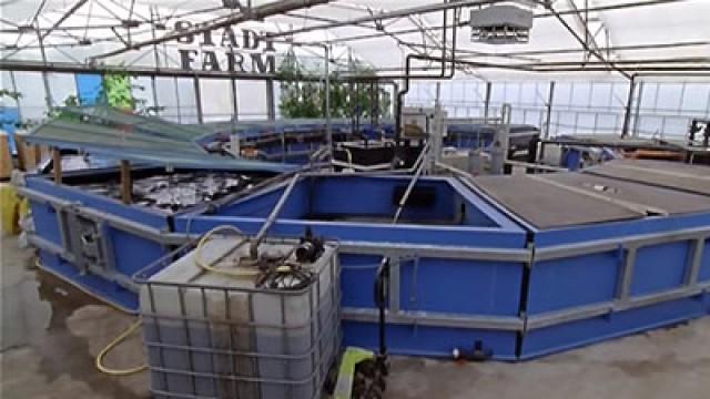 Besonderes Aquarium | Geheimnis der Kehrmaschine