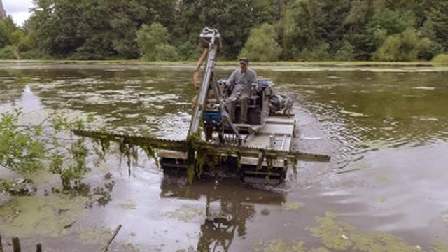 Rasenmähen auf dem Teich | Seifenschaum