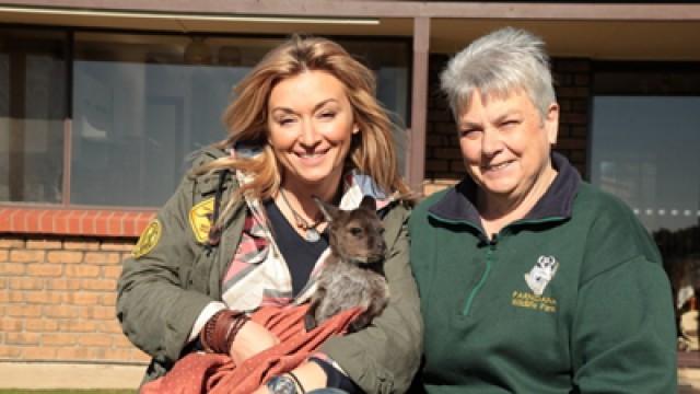 Australia - „KANGURZA MAMA” środa, 22 lutego