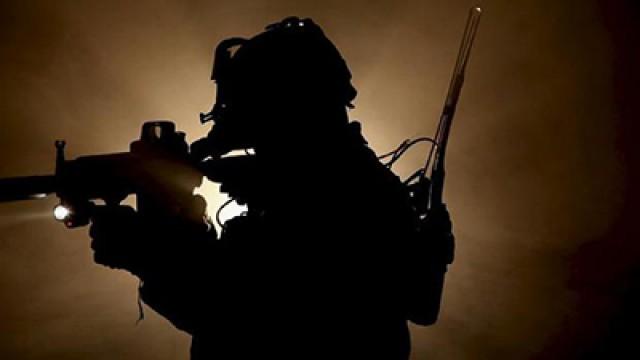 Planet der Waffen: Natur und Mensch rüsten auf