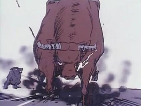 Il proprio territorio