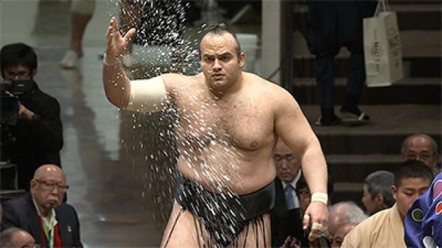 Sumo Spirit: A Storm from Egypt