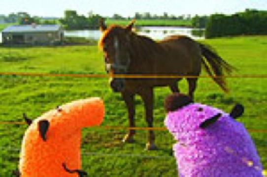 Let's go to the Farm!
