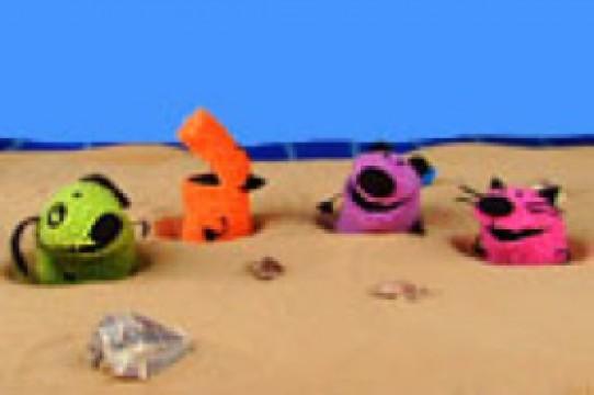 Exploring at the Beach