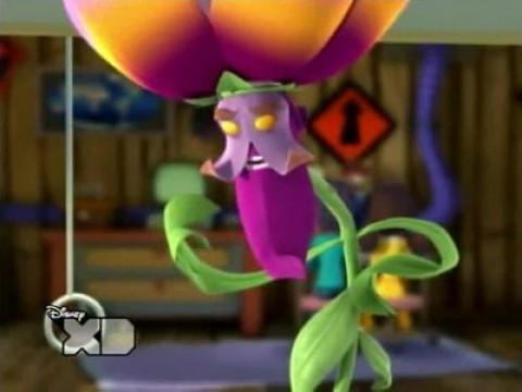 Flower King