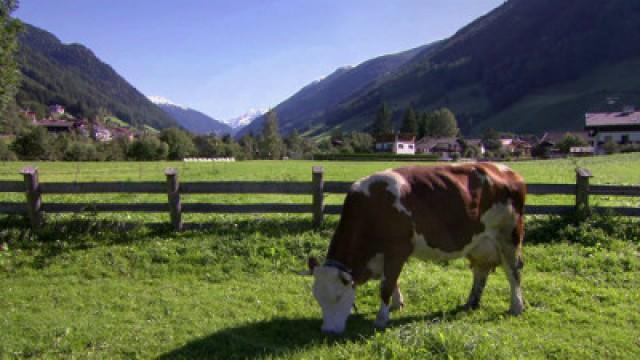 France - The Making of Cultured Butter