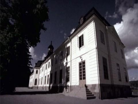 Svartsjö slott