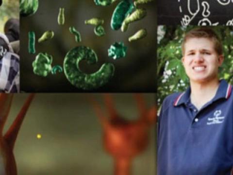 The Autism Enigma