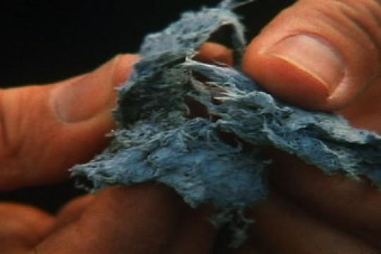 Blue Death
