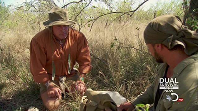 Im Low Veld von Südafrika