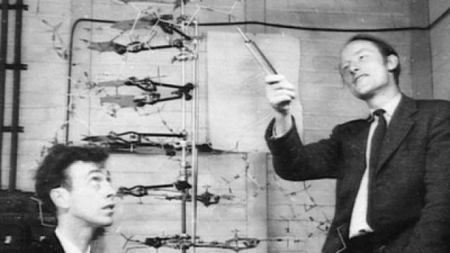 James Watson, Francis Crick und die Molekulargenetik
