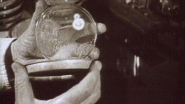 Alexander Fleming, Howard Florey, Ernst Boris Chain und das Penicillin