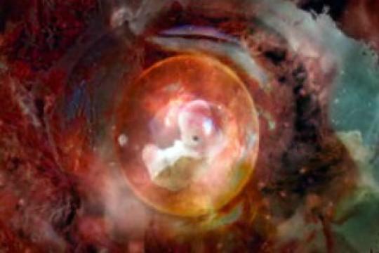 Is the Universe Alive?
