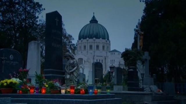 Es lebe der Zentralfriedhof