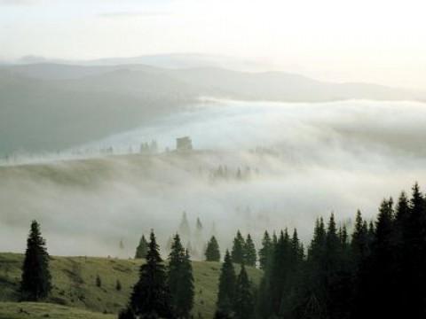 Karpaten - Leben in Draculas Wäldern