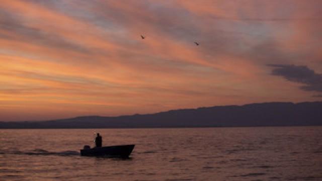 Bodensee - Wildnis am grossen Wasser