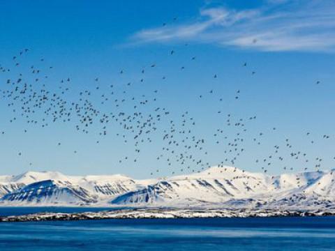 Zauber der Jahreszeiten (1): Spitzbergen