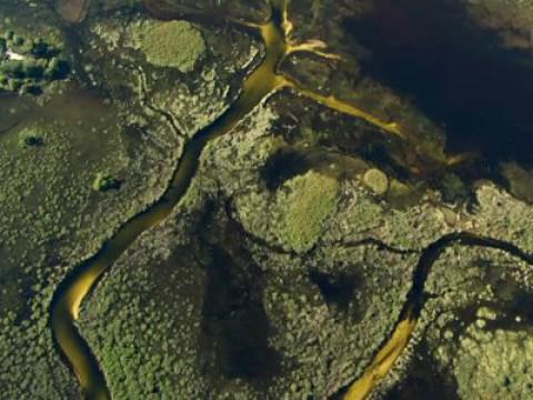 Zauber der Jahreszeiten (2): Okavango
