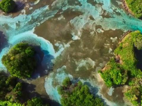Planet Earth II (1): Islands